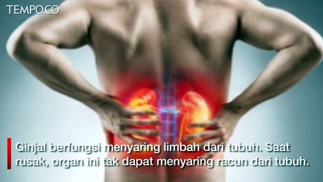 5 Tanda Ginjal Tidak Bekerja Optimal, Kaki Bengkak hingga Kulit Gatal