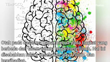 4 Tanda Otak Menua Lebih Cepat