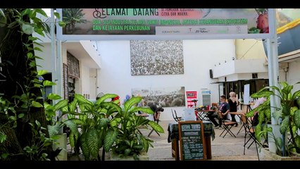 Sisi Industri Kelapa Sawit Indonesia, Antara Kehancuran Ekosistem dan Kejayaan Perkebunan