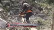 Kawanan Monyet Turun Gunung, Dampak Erupsi Semeru