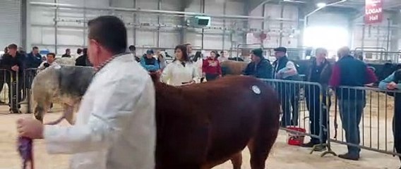 2022 Royal Ulster Beef & Lamb Championships