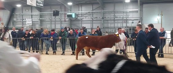 2022 Royal Ulster Beef & Lamb Championships