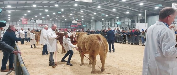 2022 Royal Ulster Beef & Lamb Championships