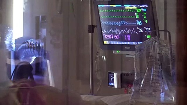 Infecções bacterianas são a segunda principal causa de mortes no mundo