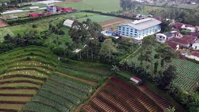 Varietas Lokal Bawa Kopi Pengalengan Menuju Pasar Global | Jelajah Negeri - Ekspedisi Kopi Nusantara