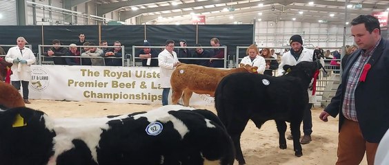 2022 Royal Ulster Beef & Lamb Championships
