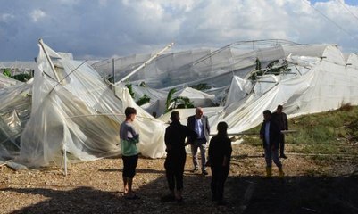 ANTALYA'DA ŞİDDETLİ RÜZGAR, MUZ SERALARINI VURDU