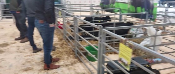 2022 Royal Ulster Beef & Lamb Championships