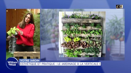 Votre jardin : Esthétique et pratique, le jardinage à la verticale !