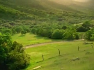 voiture qui fait peur