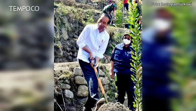 Survei Indikator Politik: 71 Persen Responden Puas terhadap Kinerja Jokowi