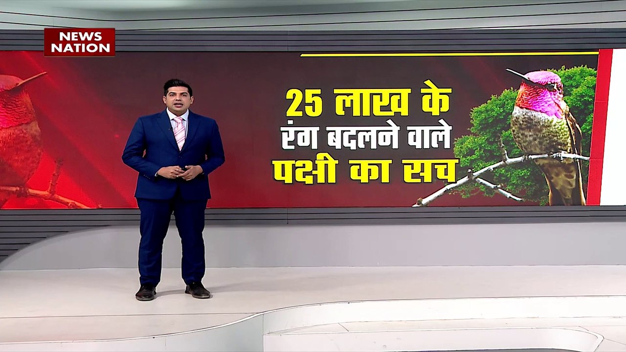 Lie Detector Test: देखिए....रंगीन परिंदे की पूर...