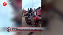 BKSDA Maluku Utara Imbau Warga Tak Bunuh Buaya