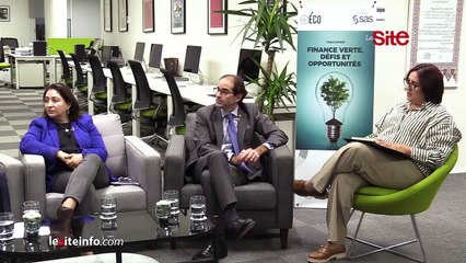 Le Cercle des ECO _ Finance verte. Les entreprises jouent-elles le jeu de la transition green _