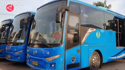 Ada 395 Bus Wisata Gratis Bagi Pemegang Tiket Nonton MotoGP Mandalika