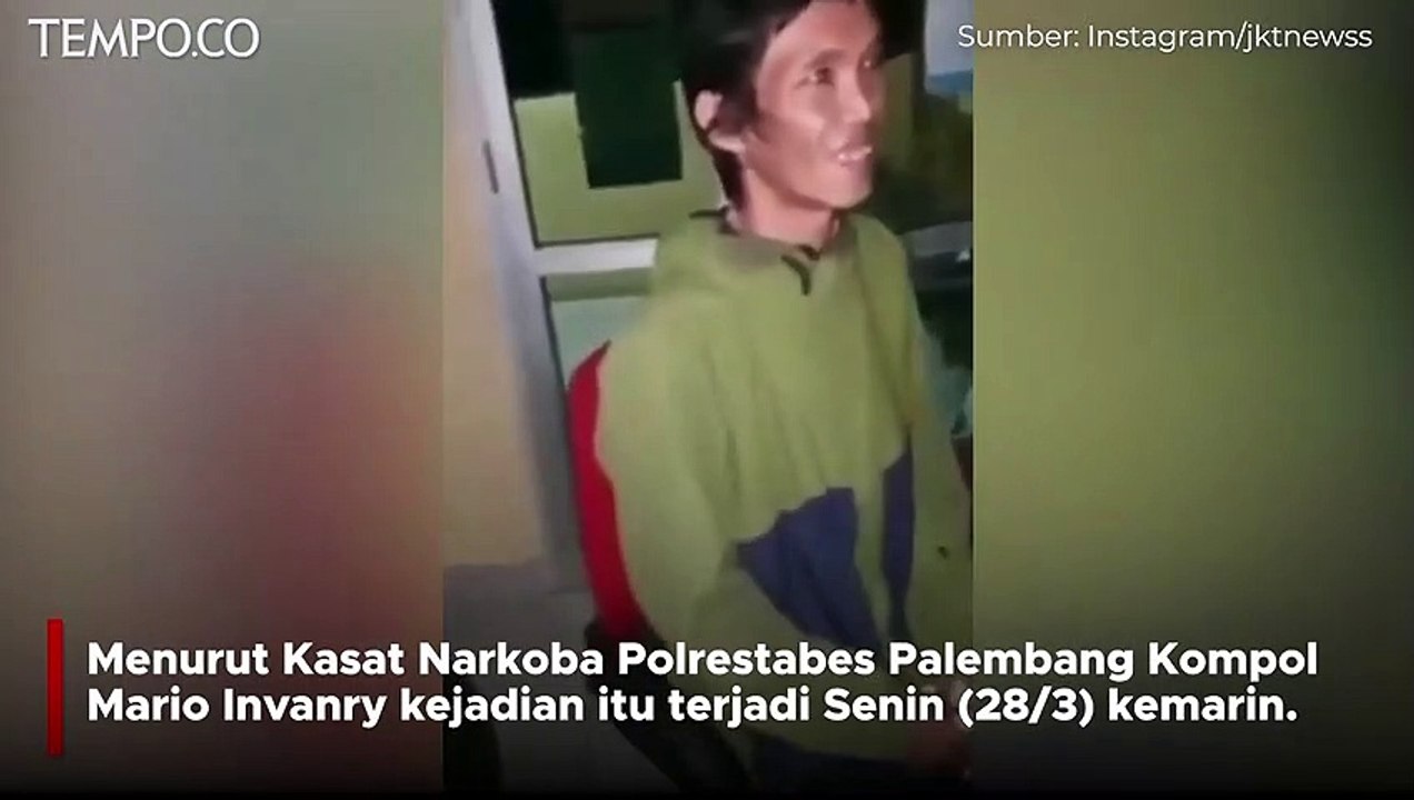 Pesan Ganja Malah Dikasih Daun Tanaman Hias, Pria Ini Lapor Polisi