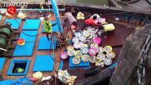 Peneliti India Temukan Mikroplastik Pada Ikan di Lepas Pantai