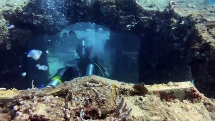 Au large de la Floride, un cimetière sous-marin utile à la faune aquatique