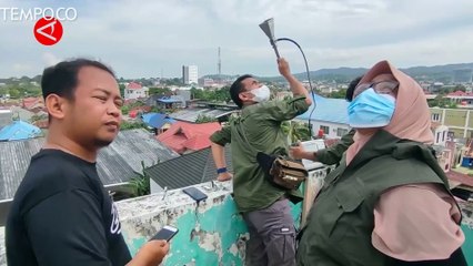 Diskominfo Sultra Prioritaskan Pembangunan Bts Di Daerah 3T