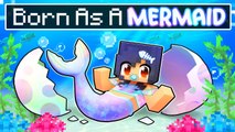 Born as a BABY MERMAID In Minecraft !   Aphmau