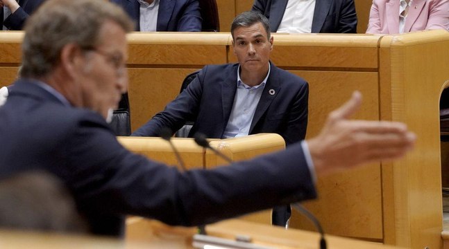 La advertencia de Feijóo que dejó a Sánchez temblando en el Senado: Habrá moción de censura