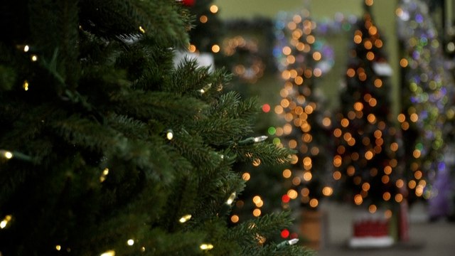 Pourquoi illuminer votre sapin de Noël vous coûtera seulement 28 centimes ?