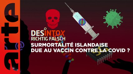 Surmortalité Islandaise due au vaccin contre la covid ? | Désintox | ARTE