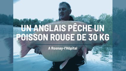 Un poisson rouge de 30 kilos pêché dans l’Aube