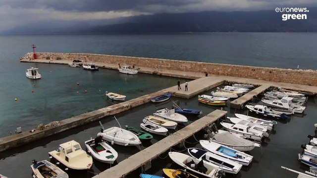 Правда о рыбаке и рыбке: помочь можно и тем, и другим