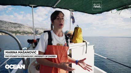 Лучше меньше, да лучше: рыбакам подсказали, как меньше работать и больше получать