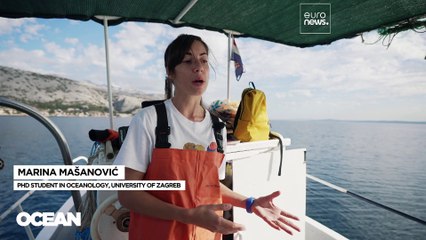 Comment aider les pêcheurs artisanaux à devenir les gardiens des mers ?