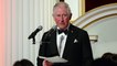 Prince Charles Delivers Heartfelt Speech During an Australia Bushfire Fundraiser