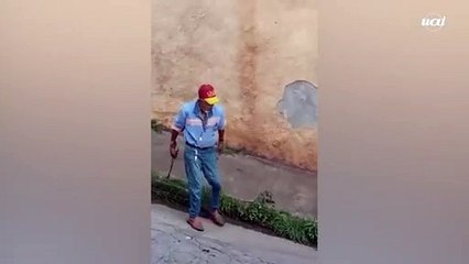 Homem é investigado por espancar e matar gato em Itabirito