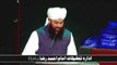 Dr Qamar uz Zaman Azami ( Imam Ahmed Raza Khan Conference ) Mustafai Tv