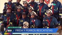 Frida y perros rescatistas de la Secretaría de Marina- Conozca en qué condiciones viven - MVS Noticias 22 nov 2022