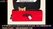 A stowaway cat snuck into a suitcase. TSA thwarted his travel plans. - 1breakingnews.com