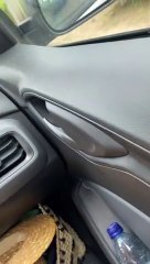 Snake Tries to Hitch a Ride Under Car Hood