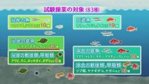 復興サポート 放射能汚染からの漁業再生～福島・浜通り Part3～ 0310 201609181005
