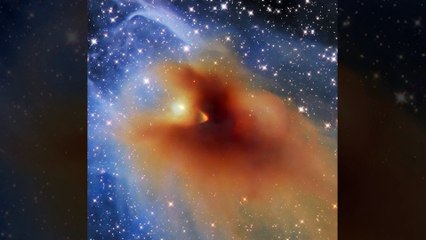 Hubble tirou foto de nuvem que formará uma estrela; veja