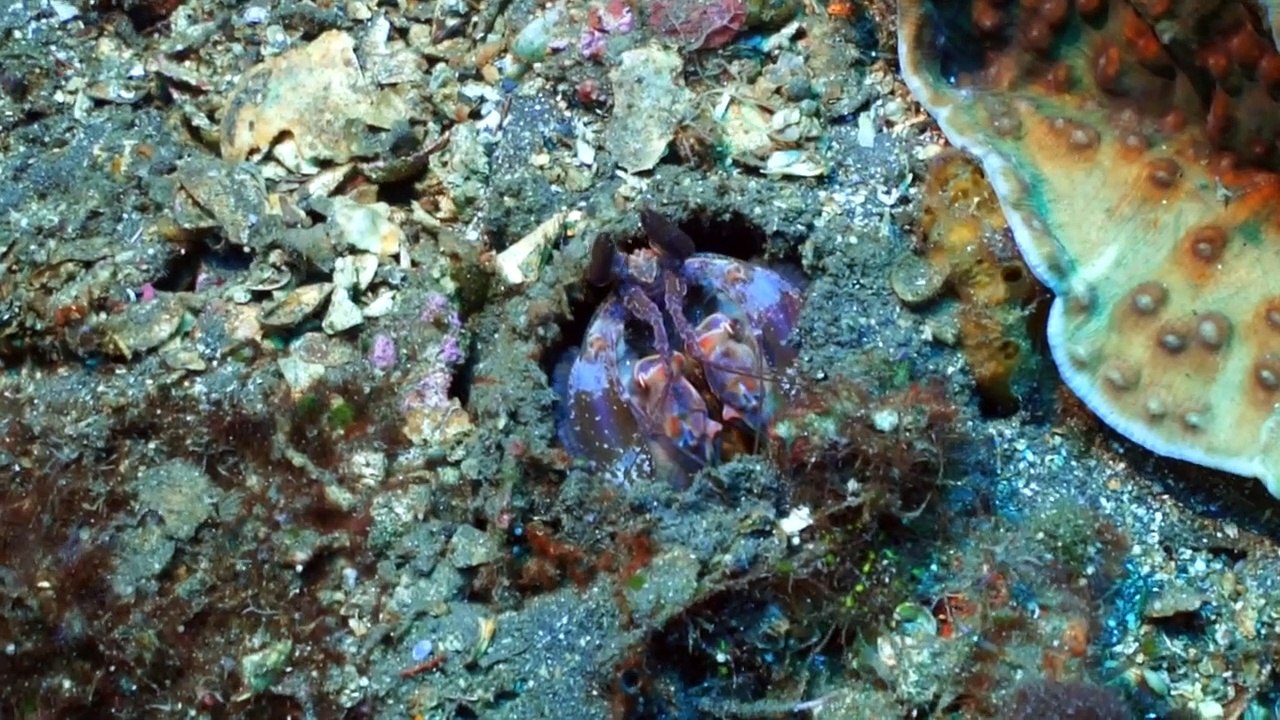 USAT LIBERTY SHIPWRECK IN TULAMBEN BALI