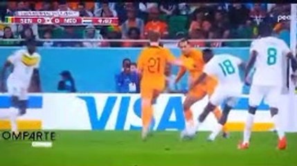 Mundial de Qatar 2022 Senegal vs Paises Bajos Grupo A