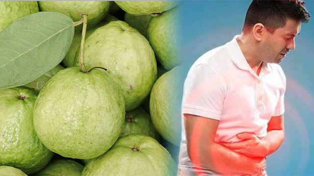 खाली पेट अमरूद खाने से क्या होता है? ।Khali pet amrud khane se kya hota hai ? *Health
