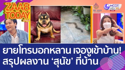 หัวใจจะวาย! ยายโทรบอกหลาน เจองูเข้าบ้าน! สรุปผลงาน 'สุนัข' ที่บ้าน (17 พ.ย. 65) แซ่บทูเดย์