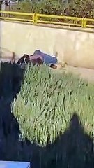 مراسل رؤيا: انفجار عبوة ناسفة في القدس وإصابات في صفوف المستوطنين