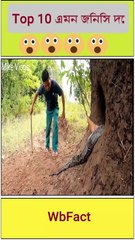 Discover the Power of Python: A Comprehensive Guide to Big Python Projects 🐍