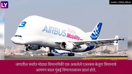 Airbus Beluga At Mumbai: जगातील सर्वात मोठं एअरबस बेलुगा विमानाचं मुंबई विमानतळावर लॅंडिंग