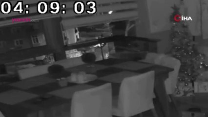 Depremi önceden hisseden papağan herkesi şoke etti!