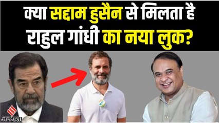 Gujarat Election में मुद्दा बना Rahul Gandhi का लुक, हेमंत बिस्वा शर्मा बोले- सद्दाम जैसा हाल क्यों?
