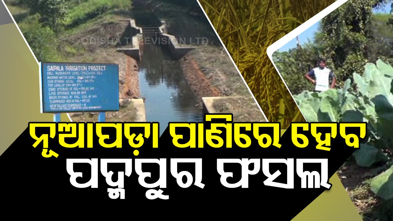 SpecialStory | Padampur farmers depend on Nuapada water for irrigation ...