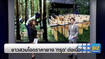 ชาวสวนโอดราคายาง 'ทรุด' ต่อเนื่อง ปริมาณออกสู่ตลาดน้อย แต่สวนทางกับราคา